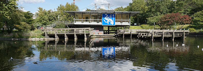 Freie Flusszone In Ausstellungen Freieflusszone Org