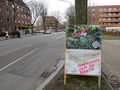 Jörg v Prondzinski Freie-Flusszone-Suederelbe IMG 5752 400.jpg