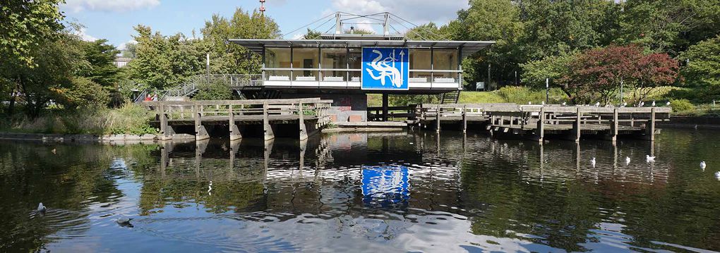Freie-Flusszone Planten un Blomen Wallanlagen 20180913 16 2000.jpg