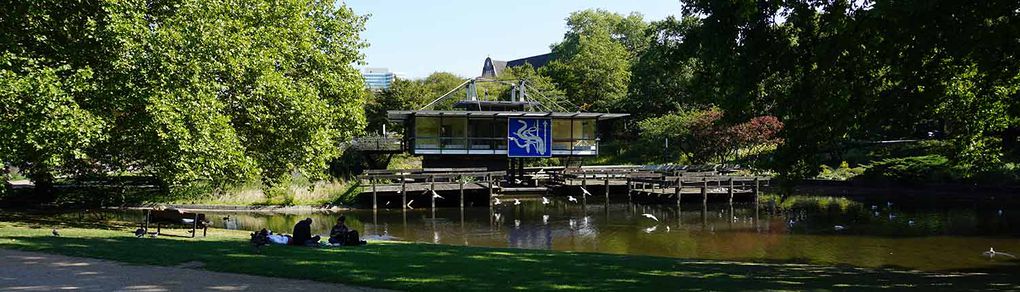 Freie-Flusszone Wallanlagen 20180914 001 1500.jpg