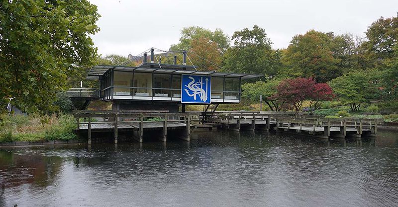 File:Freie-Flusszone Wallanlagen 20181002 054 1020.jpg