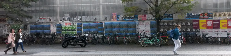 File:Freie Flusszone Suederelbe Friederike Elbkulturfonds 20141014 151458 72 1000.jpg