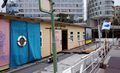 Till Krause Freie Flusszone Suederelbe DSC00220-b2.jpg