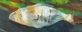Thumbnail for version as of 08:20, 15 September 2015