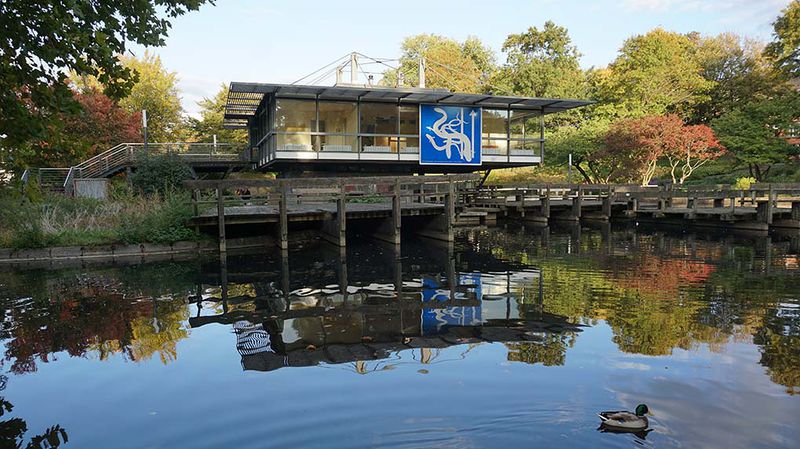 File:Freie-Flusszone Wallanlagen 20180929 036 1020.jpg