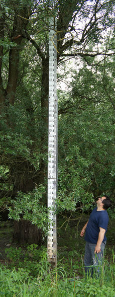 File:DSC01396 72 500.jpg