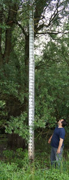 File:DSC01396 72 400.jpg