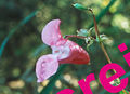 Thumbnail for version as of 15:55, 18 September 2015