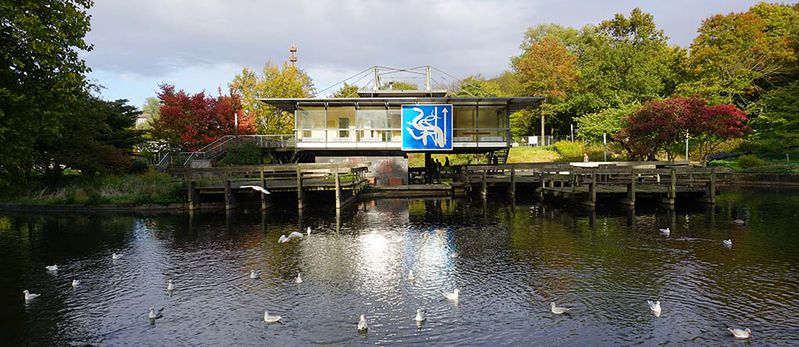 File:Freie-Flusszone Wallanlagen 20181003 059 1020.jpg