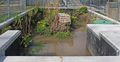 Bob Braine Pet Estuary DSC09264-b 72 555.jpg