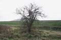 Emscherkunst Land fuer 5 finale Handlungen Till Krause DSC04110 04 72 555-b.jpg