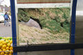Luca Vitone Free-River-Zone IMG 5640 335h.jpg