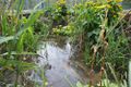 Bob Braine Pet Estuary DSC00106 72 1000.jpg