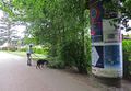 Freie Flusszone IMG 2267 350h.jpg