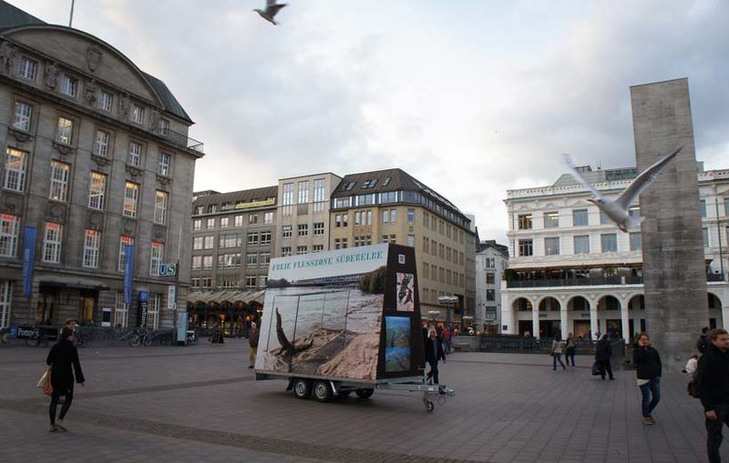 File:Elbkulturfonds Freie Flusszone Nana Petzet DSC03440 72 820.jpg