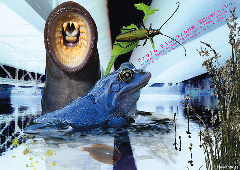 File:Tue Greenfort Plakat SciFi Freie-Flusszone-Suederelbe 930.jpg