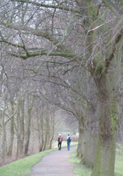 Hille von Seggern Expedition Suederelberaum 72 200b.jpg