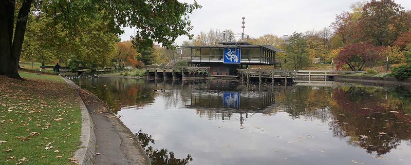 File:Freie-Flusszone Wallanlagen 20181016 001 1020.jpg