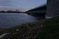 Freie Flusszone Suederelbe DSC06505 72 400.jpg