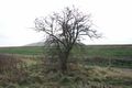Emscherkunst Land fuer 5 finale Handlungen Till Krause DSC04110 04 72 555.jpg