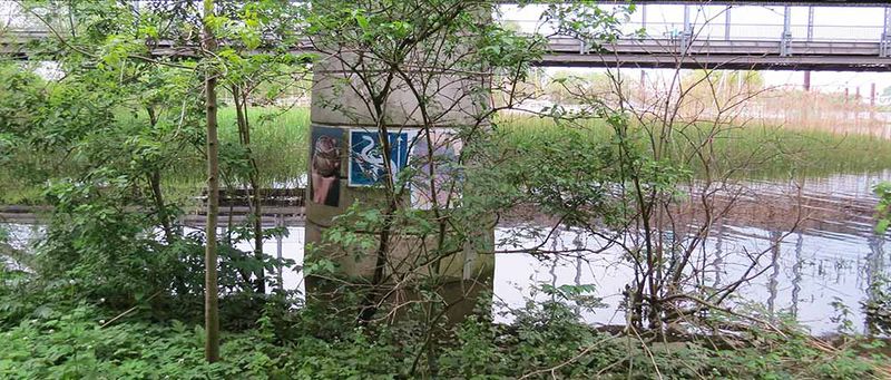 File:Freie Flusszone IMG 2356 1000.jpg