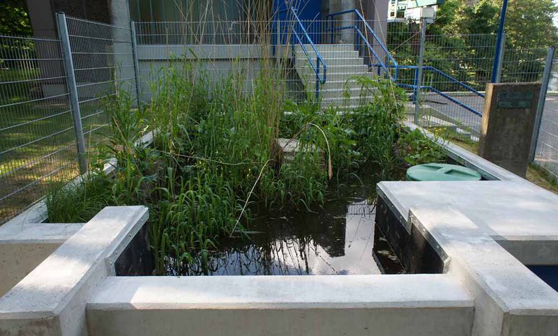File:Bob Braine Pet Estuary DSC07955.jpg