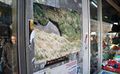 Luca Vitone Free-River-Zone DSC06133 380h.jpg
