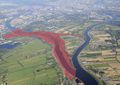 Freie Flusszone Suederelbe Erweiterung August 2013 1000.jpg