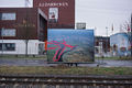 Freie Flusszone Till Krause 20190310 014 500.jpg